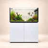 P120 Zoutwater Aquarium 534 Liter Room Divide - Neptunian Cube