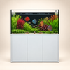 Super Series 150 Wit630L - Neptunian Cube S