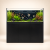 Super Series 150 Zwart 630L– Neptunian Cube
