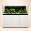 Premium Zoutwater Aquarium 550 Liter - Neptunian Cube M-Pro 180