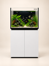 M-Pro 90 – Premium Zoutwater Aquarium 250 Liter Wit -Neptunian Cube