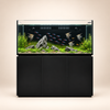 Premium Zoutwater Aquarium 470 Liter Zwart - Neptunian Cube M-Pro 150