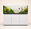 Zoutwater Aquarium 703 Liter - Neptunian Cube P 180 Peninsula