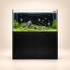 Super Series 120 Zwart -480L - Neptunian Cube