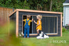 Voldux Hondenkennel | Reno |Dakleer |Zwart Zweeds rabat + Douglas frame